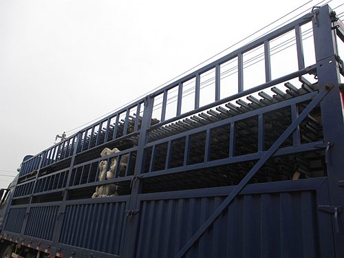 �\䓇����o(h��)��